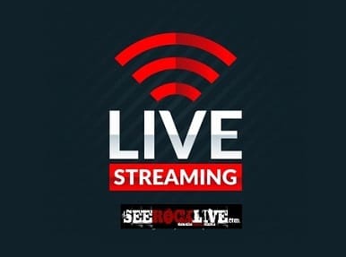 Group logo of SEE ROCK LIVE Virtual Venue